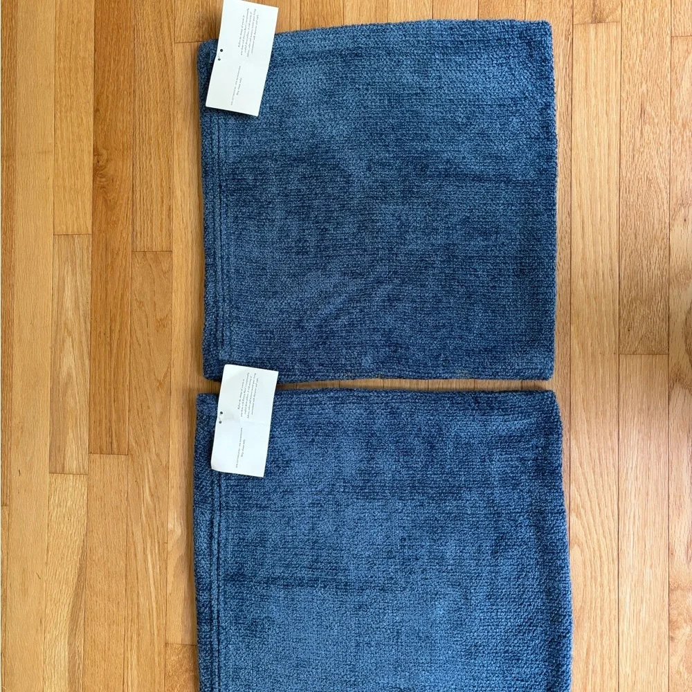 Pottery Barn Chenille 2 Pillow Cases size 18x18 inches